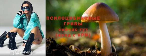 гидра Алзамай