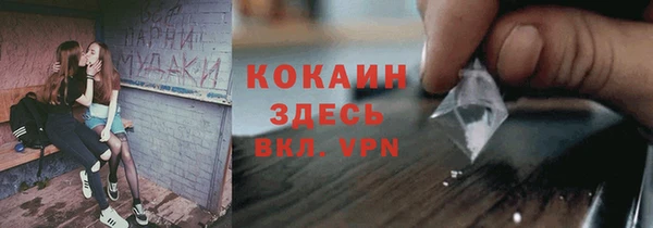 стаф Алексин