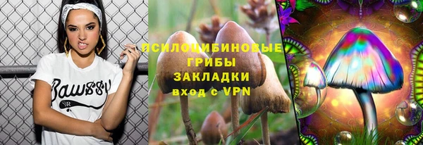 гидра Алзамай