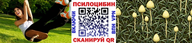 Галлюциногенные грибы Magic Shrooms  blacksprut онион  Сольвычегодск  наркошоп 